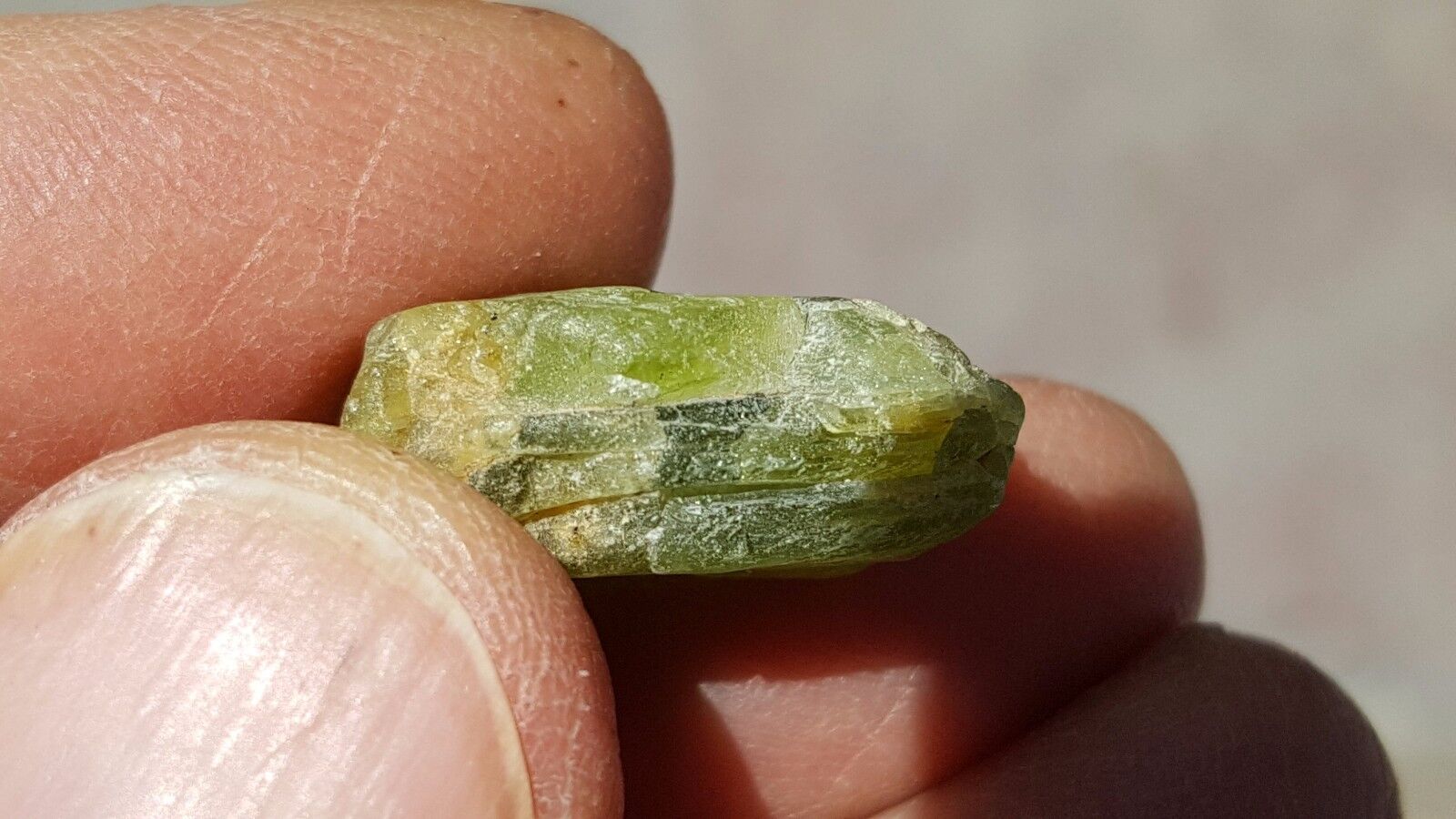 Peridot, San Carlos, Rough, 28.5cts