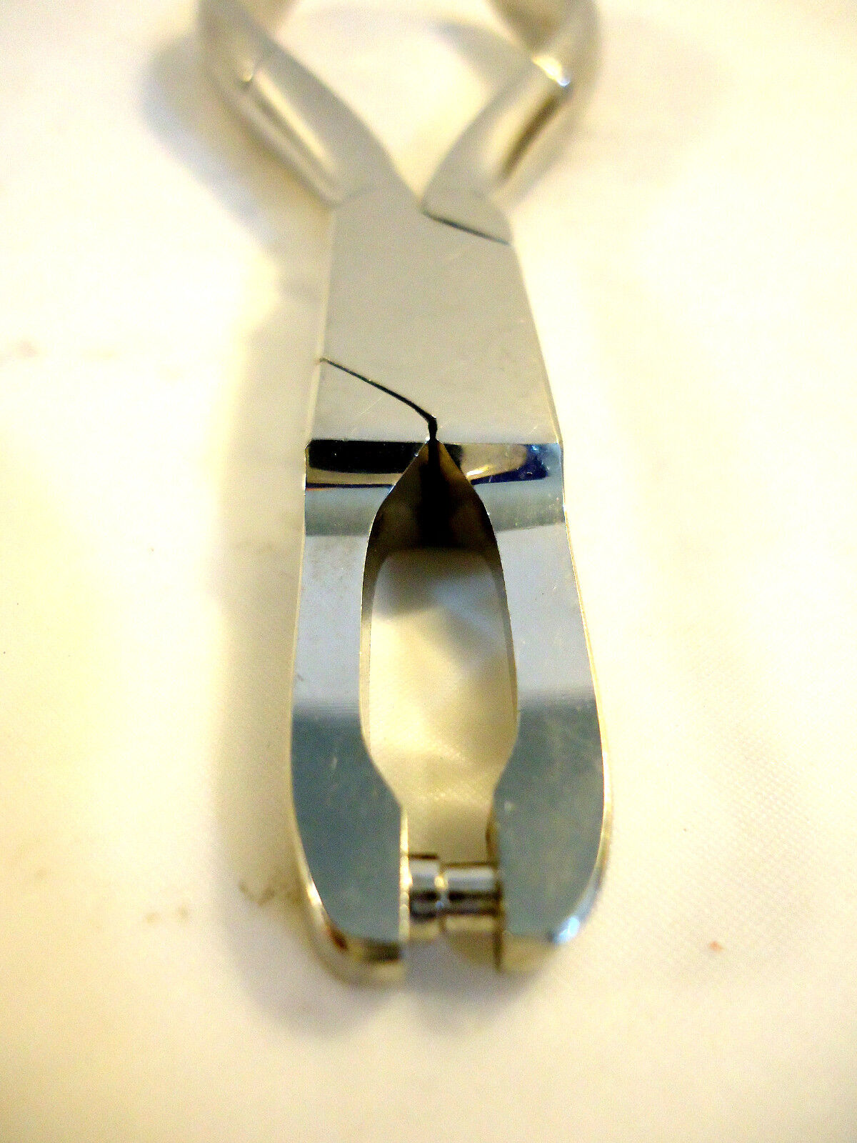 Damascus German Orthodontist Plier, WHAT AM I USED FOR???, New/Other.