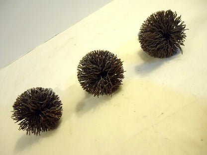 Wire Brushes, USA Made, ¼” Shank with Mushroom Head, 3Piece Lot, New/Other